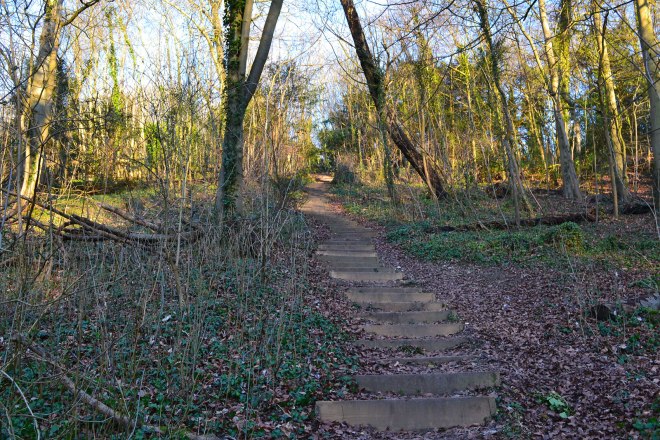 Dunstall Wood steps