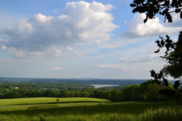 Chiddingstone larks and a pint of&nbsp;Larkins