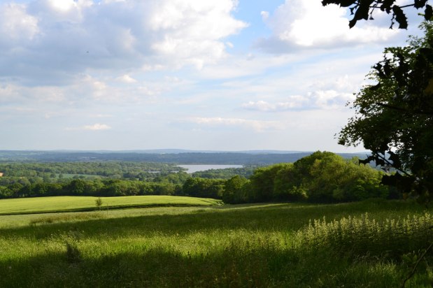 Bough Beech – the lake you can’t quite get&nbsp;to