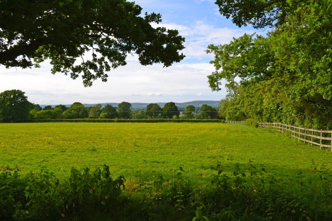 Kent countryside