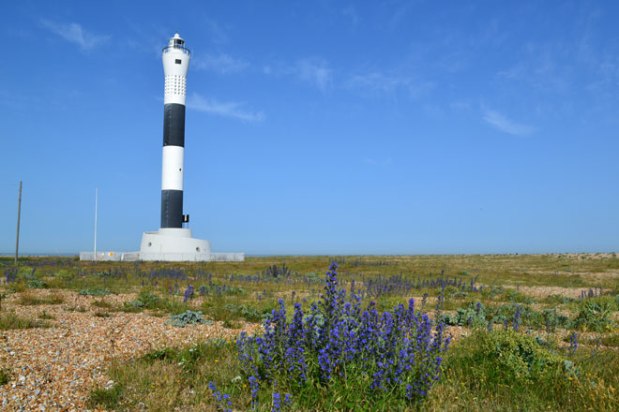 More Dungeness dallying
