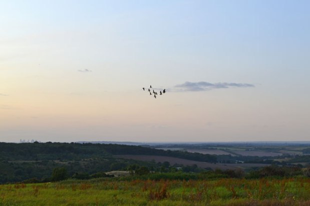 I think that’s summer over&nbsp;with