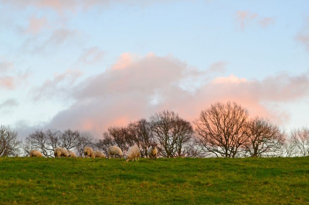 Sunset from above the Darent Valley in the North&nbsp;Downs