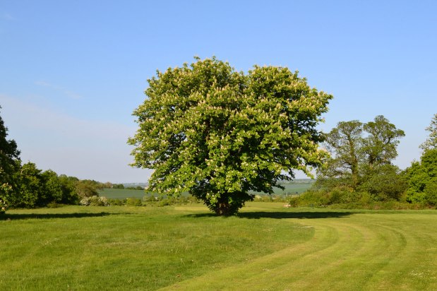 Lockdown loosening as spring&nbsp;unfurls