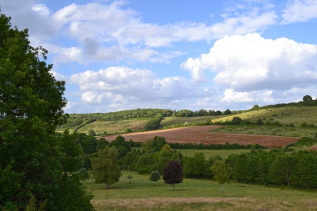 Joining up the Shoreham walks for an&nbsp;epic