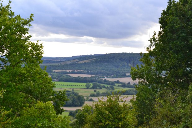 Party time for&nbsp;buzzards