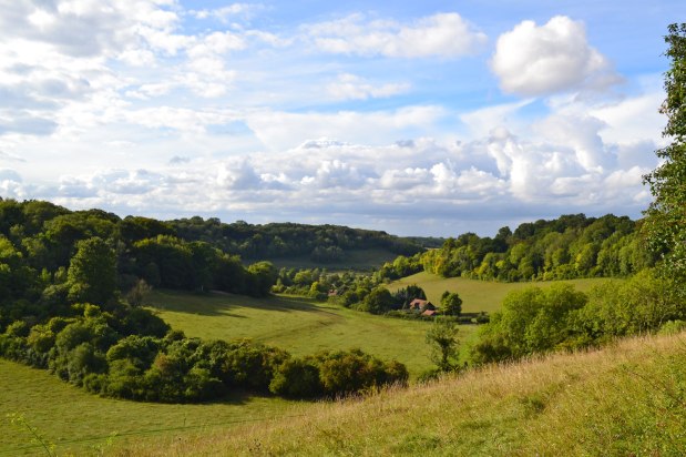 Secret valleys on these NW Kent&nbsp;walks