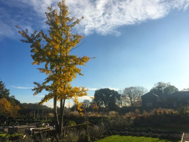 Locked down but not locked&nbsp;in