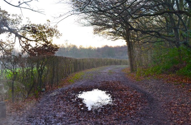 I’ve surrendered to the&nbsp;mud