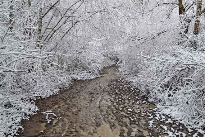 Mud, frost and snow