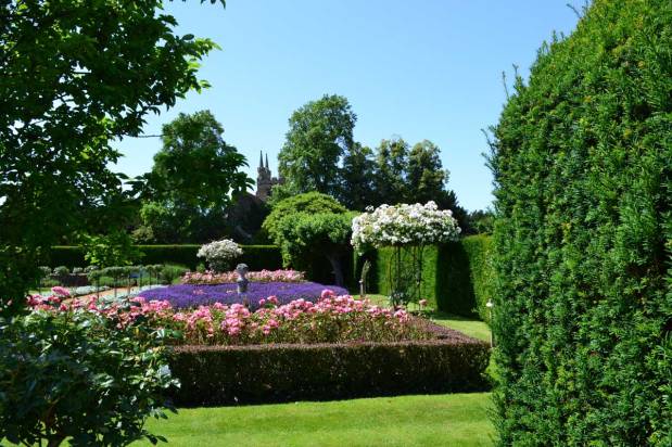 Weald and wings in the&nbsp;heat