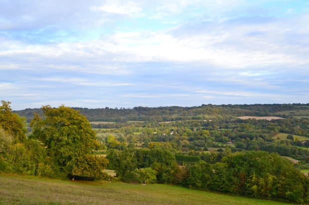 No time to&nbsp;dieback