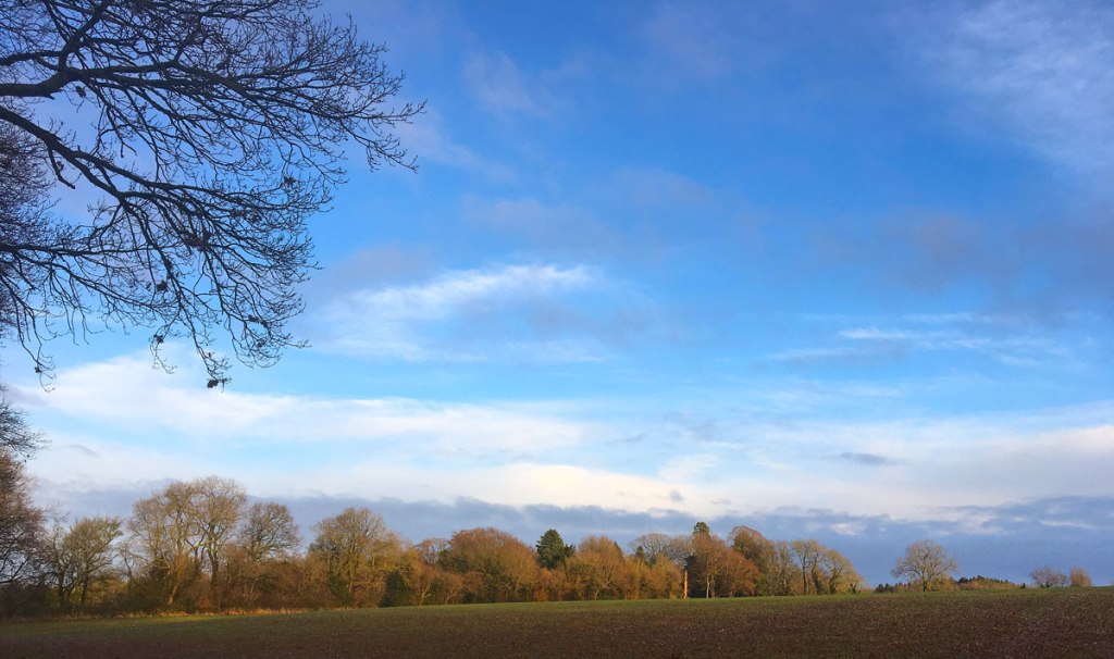 Field in winter at Downe
