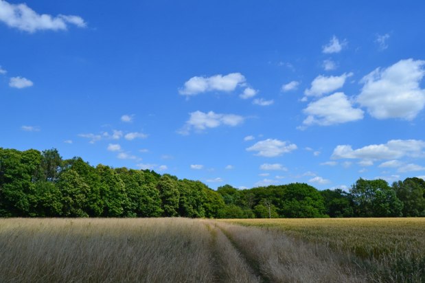 My favourite photos of the year:&nbsp;2022