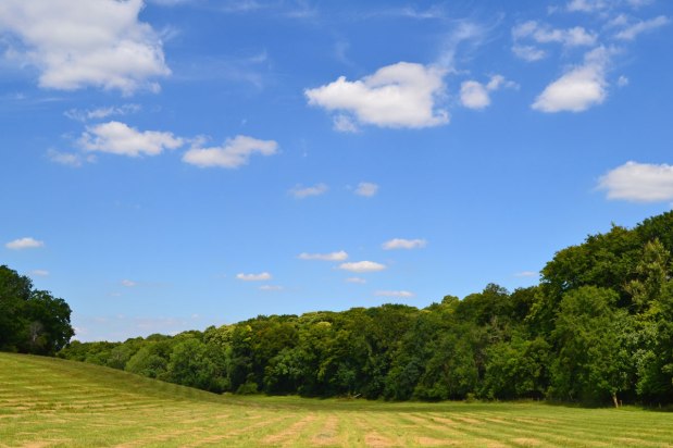 The heat is on – escape from SE&nbsp;London?