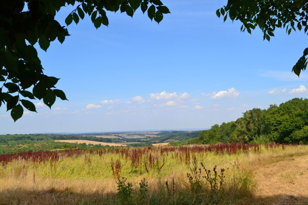 View from Romney Street