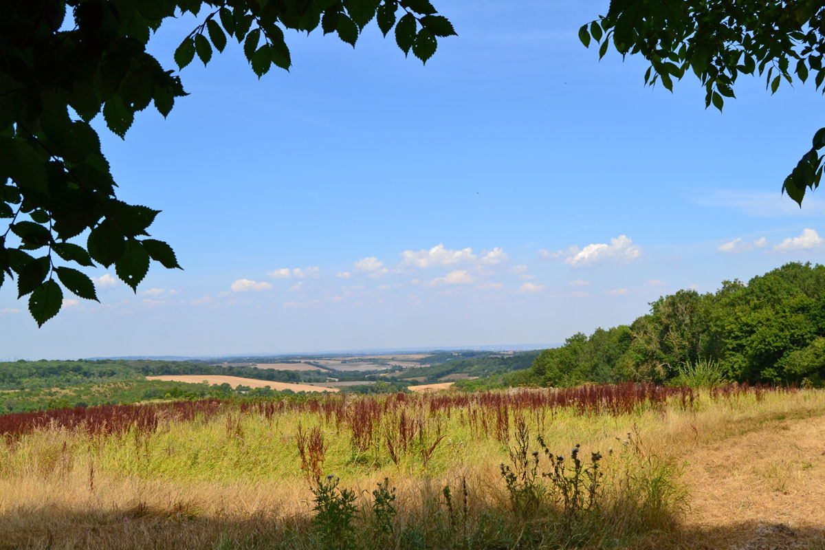 View from Romney Street