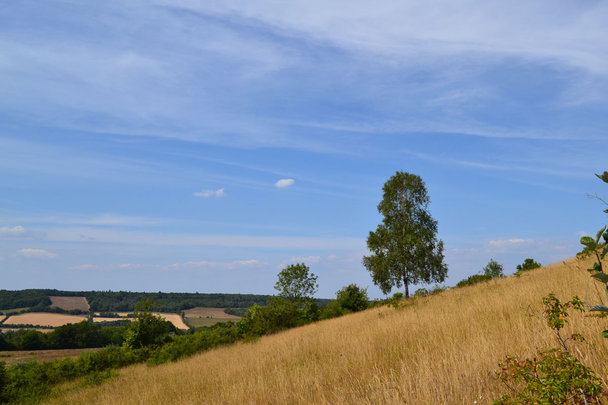 View across the slope of Fackenden Down into the Darent Valley