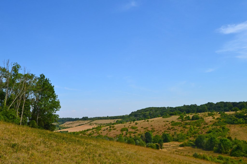 View across dry valley at Austin Spring