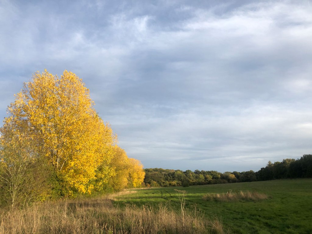 Petts Wood walk early autumn