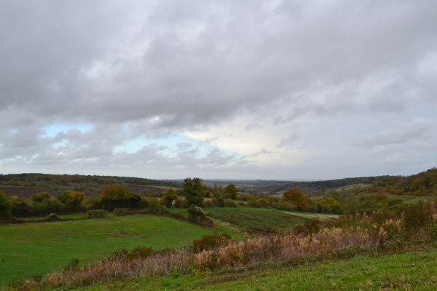 Wet, wild and&nbsp;wonderful