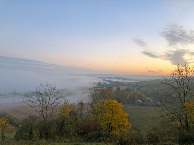 Bats in the mist – dusk at Downe, Keston and&nbsp;Polhill