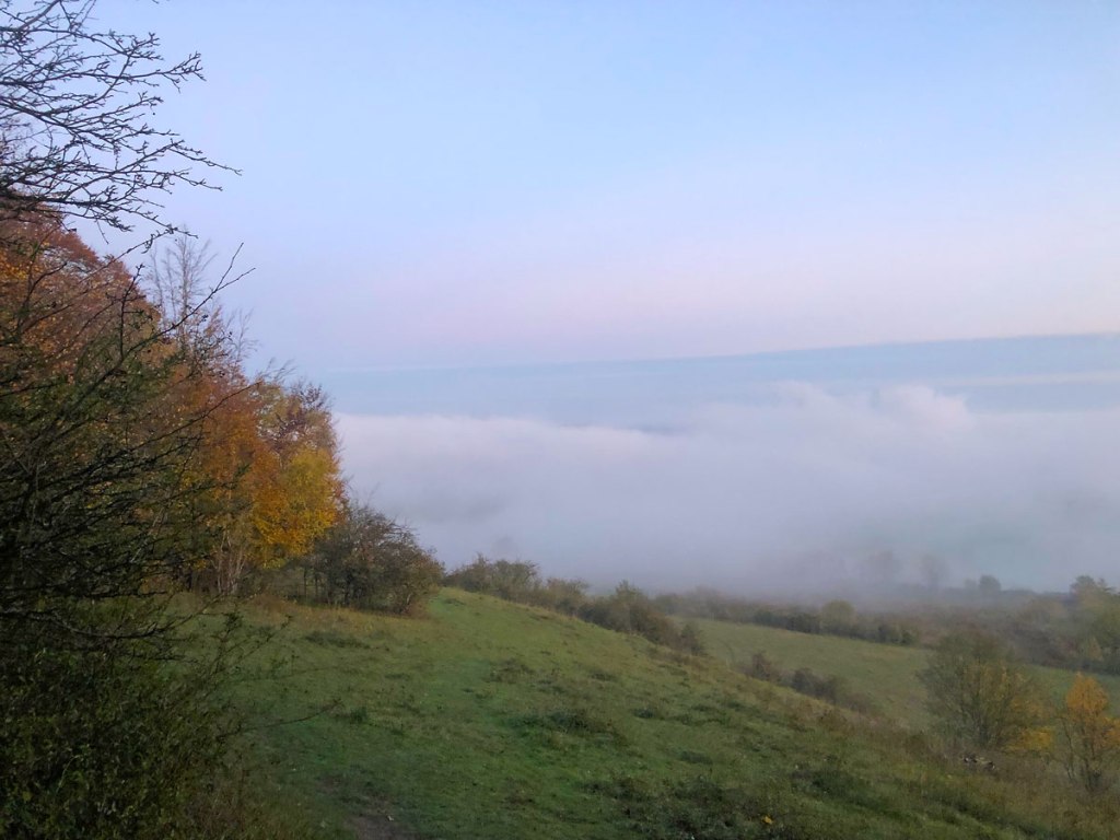 Mist at Polhill looking towards Otford, November 2022