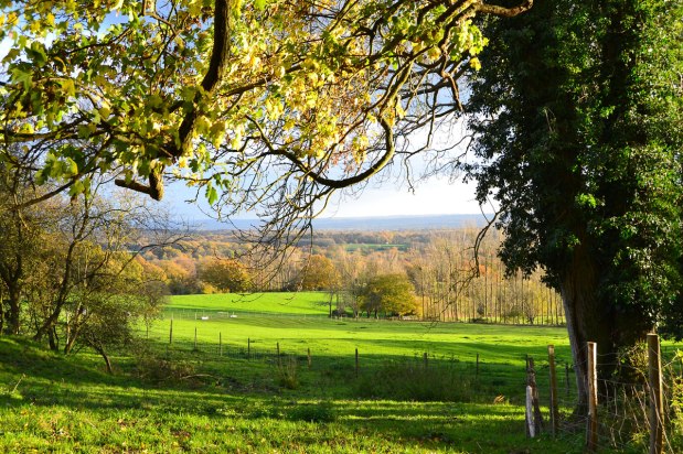Birding on the Greensand Ridge at&nbsp;Underriver