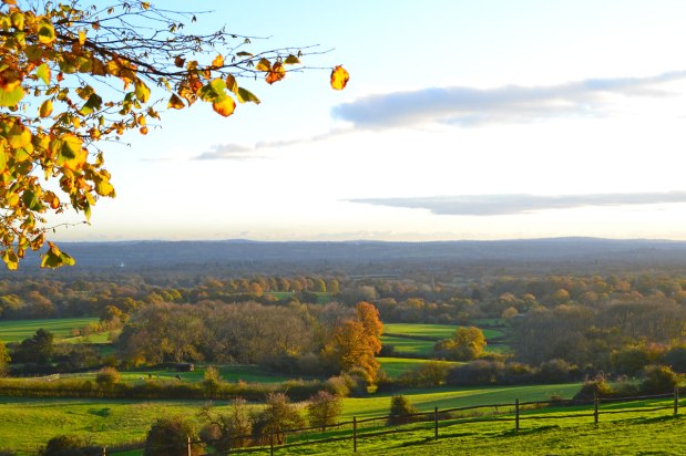 No longer waiting for&nbsp;autumn