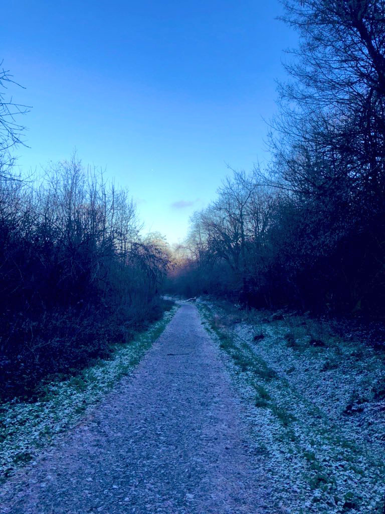Frosty path