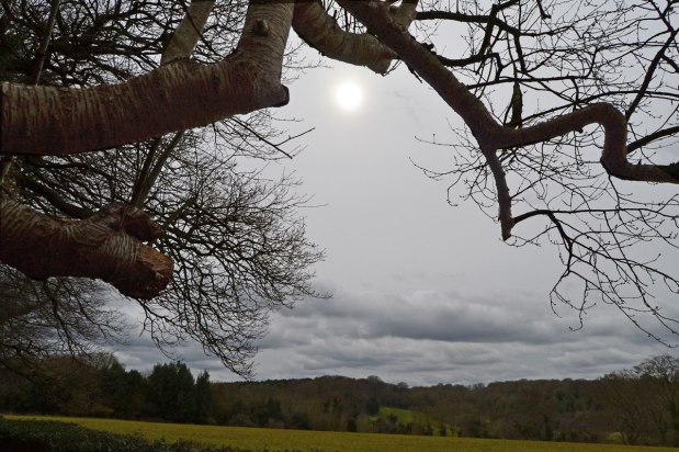 In the depths of&nbsp;springter