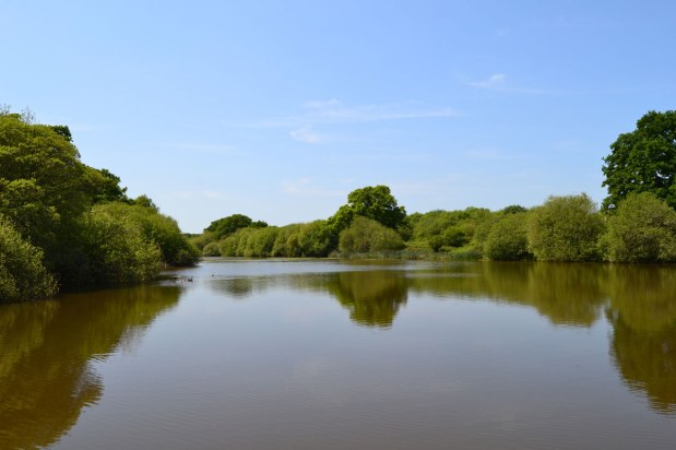 We nipped down to&nbsp;Knepp