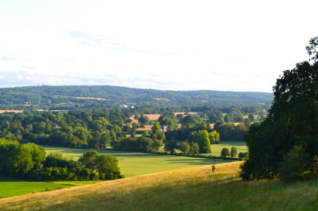 New detour on Chevening / Knockholt&nbsp;walk
