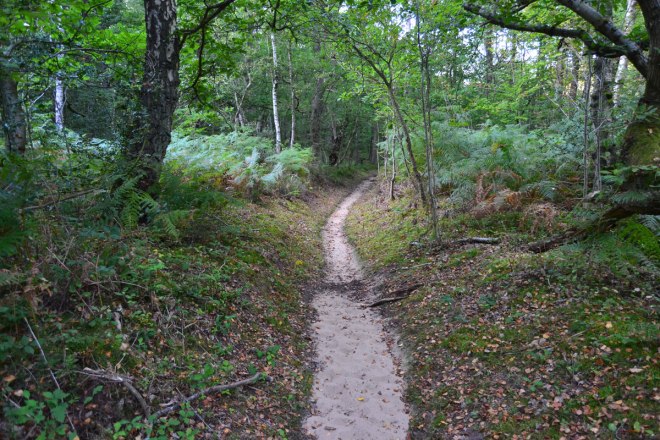 Sand path through Fishpond Woods, Oldbury