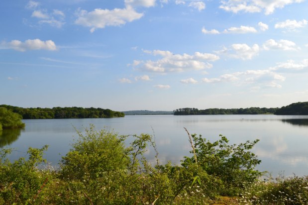 It’s wet on the&nbsp;Weald