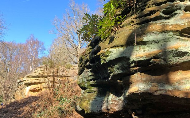 Rockin’ all over the&nbsp;Weald