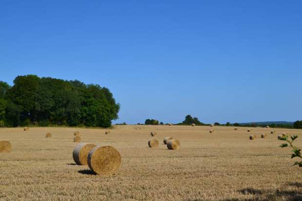 Quiet North Downs, busy South Downs; all&nbsp;good