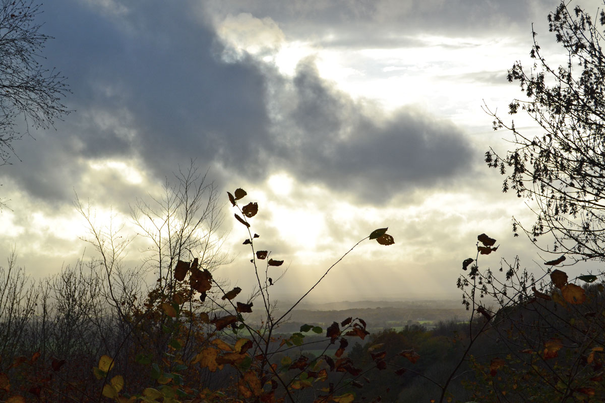 Sunbeams and silhouettes