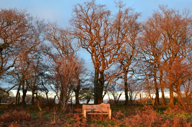 Winter magic in short&nbsp;supply