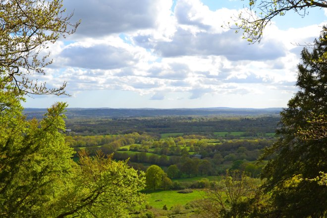Wilmots Hill view on the One Tree Hill figure of eight walk. Looking towards Ashdown Forest