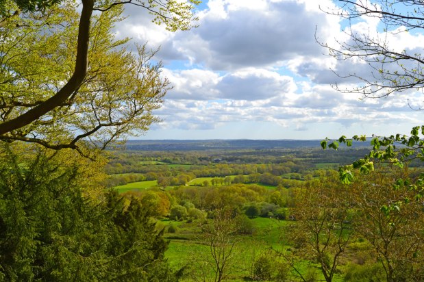 Stunning spring scenes on the Kent&nbsp;walks
