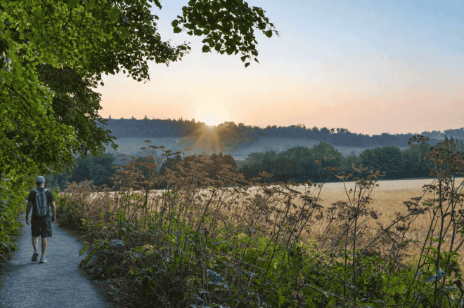 Darent valley summer sunset, July 2026