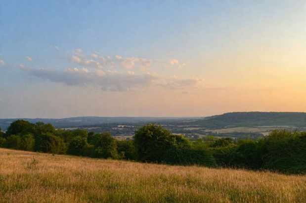 Evening sun walks – pick&nbsp;Shoreham!