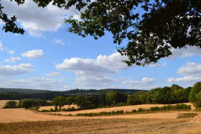 Looking across parched fields to the Greensand Ridge from the early stages of the Bough Beech walk