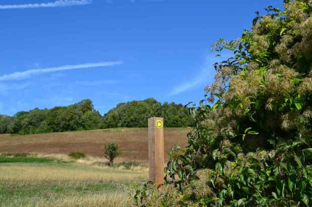 September brings clarity to Kent walks near&nbsp;London
