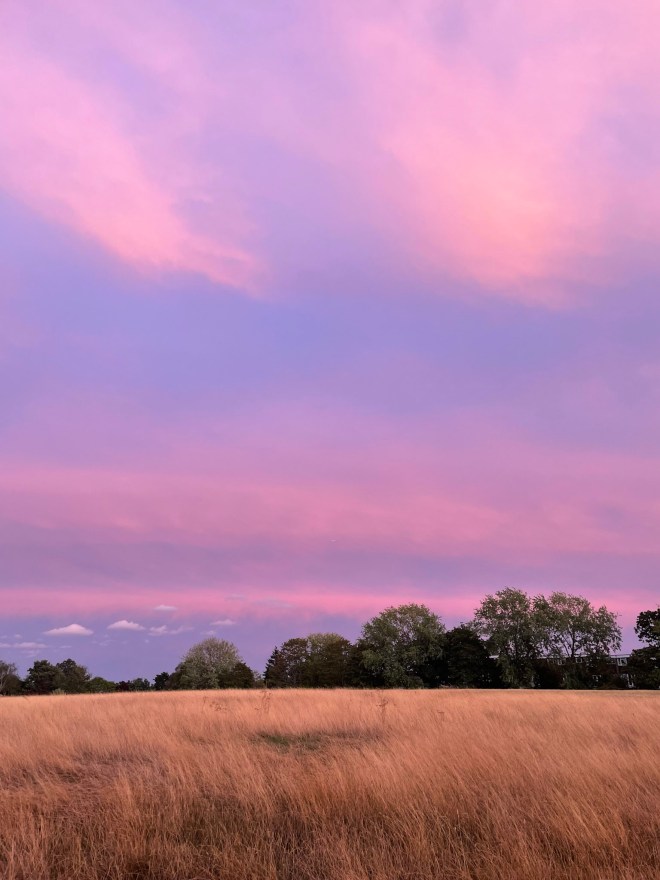 Beckenham Place Park dusk